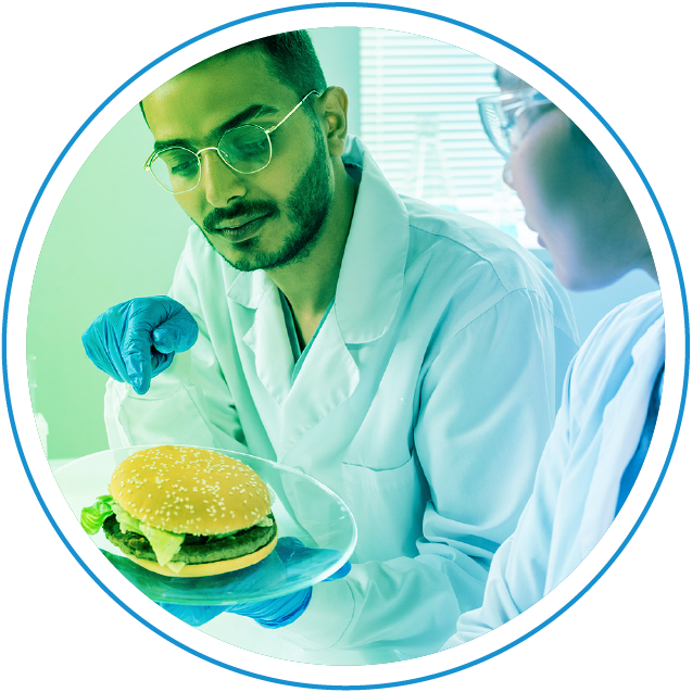 Ready to eat Food Anlaysis