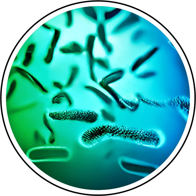 legionella bacteria testing, Dubai